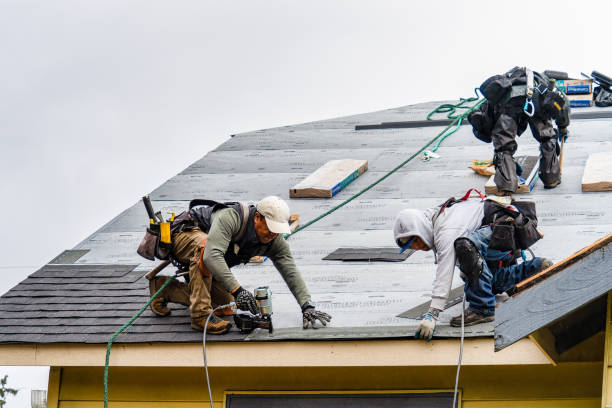 Professional Gutter Installation technician working in Pickrell, NE